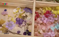 Gia đình vui vẻ: Gia đình anh Sủng - Phần 2