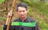 Hành trình kết nối xanh: Nghĩa Đô suối sạch đồng xanh