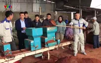 Nông nghiệp xanh: Cơ giới hoá trong sản xuất nông nghiệp