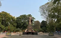 Hàng cây cổ thụ - Nét đẹp lâu đời của vườn hoa Lý Thái Tổ
