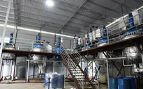 Cận cảnh xưởng sản xuất ma túy đặc biệt lớn nhất từ trước đến nay vừa bị triệt phá