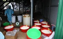 Video: Triệt phá xưởng sản xuất 1,4 tấn ma túy ketamin tại Nha Trang