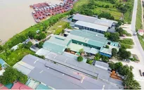 Hà Nội được yêu cầu xử lý loạt vi phạm ngoài đê sông Hồng