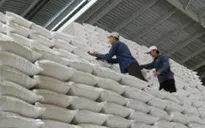 Thành lập đoàn kiểm tra liên ngành về xuất khẩu gạo