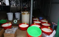 Hàng tấn ma túy ketamin sản xuất từ tiền chất, hóa chất