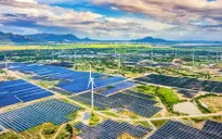 Chuyển đổi xanh: Cuộc đua “tiếp sức” của toàn nền kinh tế