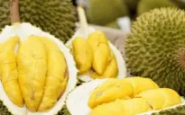 Giá sầu riêng tăng trở lại