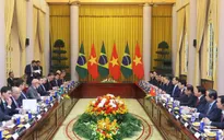 Chủ tịch nước Lương Cường hội đàm với Tổng thống Brazil Lula da Silva