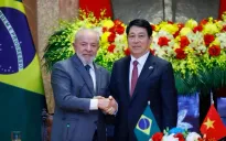 Việt Nam-Brazil thúc đẩy mở rộng hợp tác, trao đổi kinh nghiệm những lĩnh vực có thể bổ trợ cho nhau