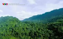 Hành trình kết nối xanh: Lời thề giữ rừng giữa đại ngàn Nà Hẩu