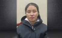 Quảng Bình: Bắt giữ nữ đối tượng gây ra hàng loạt vụ trộm cắp tài sản giá trị lớn