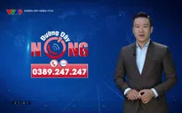 Đường dây nóng VTV9 - 31/3/2025