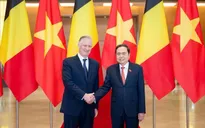 Chủ tịch Quốc hội Trần Thanh Mẫn hội kiến Nhà Vua Bỉ