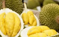 Niềm vui từ sầu riêng nghịch vụ
