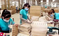 Doanh nghiệp gỗ Việt hưởng ứng chính sách thuế mới