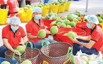 Xuất khẩu ngành nông nghiệp tăng trưởng mạnh