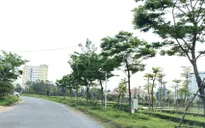 Quảng Bình: Đã khởi tố 22 bị can liên quan đến Công ty cây xanh Công Minh