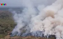 Chủ động đốt cỏ phòng cháy rừng