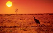 Australia trải qua 12 tháng nóng nhất trong lịch sử