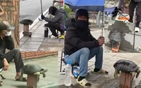 Rùa trong sách Đỏ bán tràn lan ở vỉa hè Hà Nội