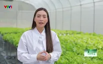Vì một tương lai xanh - 03/4/2025