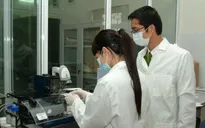 Chế độ bồi dưỡng giám định tư pháp mới áp dụng từ 20/5/2025