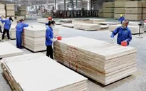 Vững vàng giữ thị trường Mỹ - Ngành gỗ chạy nước rút