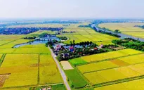 Gia hạn thời hạn nộp thuế và tiền thuê đất năm 2025