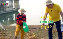 Cha con vạn dặm: 	Tập làm Mai An Tiêm