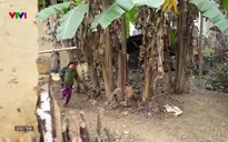 Về quê - 05/4/2025