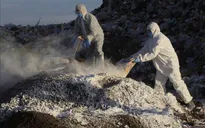 Mexico xác nhận ca nhiễm cúm gia cầm H5N1 đầu tiên ở người