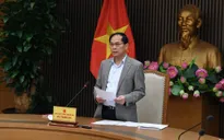 Phó Thủ tướng Bùi Thanh Sơn chủ trì họp Tổ công tác về hợp tác kinh tế, thương mại với Hoa Kỳ