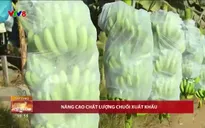360° Thị trường - 08/4/2025