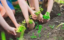 Thêm 1.500 cây xanh cho Đề án “Trồng 1 tỷ cây xanh”