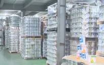 Những đối tượng bị bắt trong vụ sản xuất gần 600 loại sữa bột giả