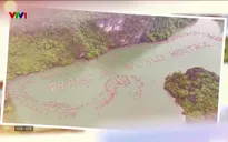 Du lịch Việt Nam - 12/4/2025