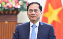 Khoảng 600 đại biểu quốc tế sẽ tham dự Hội nghị thượng đỉnh P4G tại Hà Nội