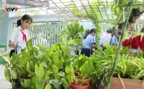 Trang địa phương: Số 15