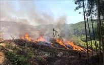 Cao Bằng tăng cường phòng chống cháy rừng