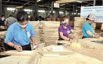 Chủ động đa dạng hoá, giữ vững thị trường xuất khẩu