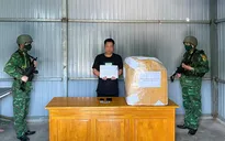 Phá chuyên án ma túy, thu giữ 12kg cần sa