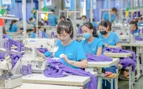Đề xuất cơ chế đặc thù hỗ trợ doanh nghiệp nhỏ và vừa trong biến động thuế quan