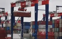 Đàm phán thuế quan: Liệu Nhật Bản có tránh được thuế của Mỹ?
