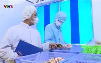Nông nghiệp xanh: Hiện đại và xanh hóa trong sản xuất