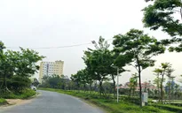 Quảng Bình: Khai trừ nhiều đảng viên liên quan đại án cây xanh Công Minh