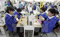 Doanh nghiệp vừa và nhỏ Hàn Quốc thiếu vốn nghiêm trọng