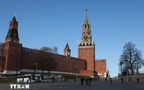 Điện Kremlin: Có tiến triển trong đàm phán nhằm chấm dứt xung đột ở Ukraine