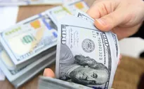 Kiều hối chuyển về TP. Hồ Chí Minh đạt hơn 2,4 tỷ USD