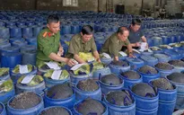 Phát hiện đường dây sản xuất 3.500 tấn giá đỗ ngâm "nước kẹo"