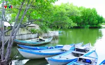 Khám phá Việt Nam: Cuộc sống bên đầm Nha Phu